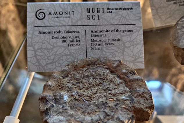 výstava Amonit